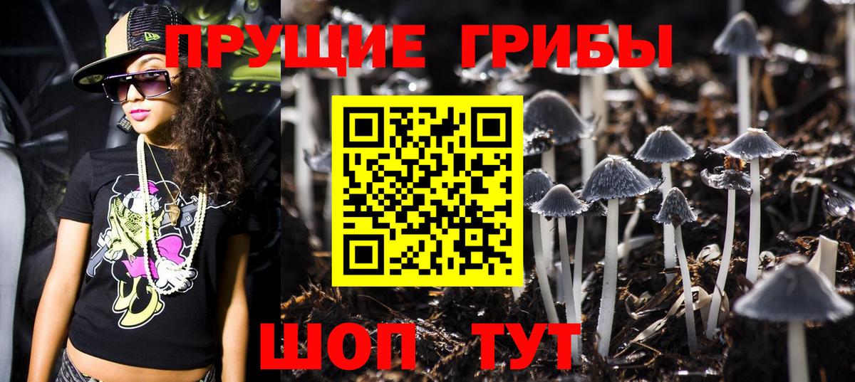 Галлюциногенные грибы мицелий Кимры