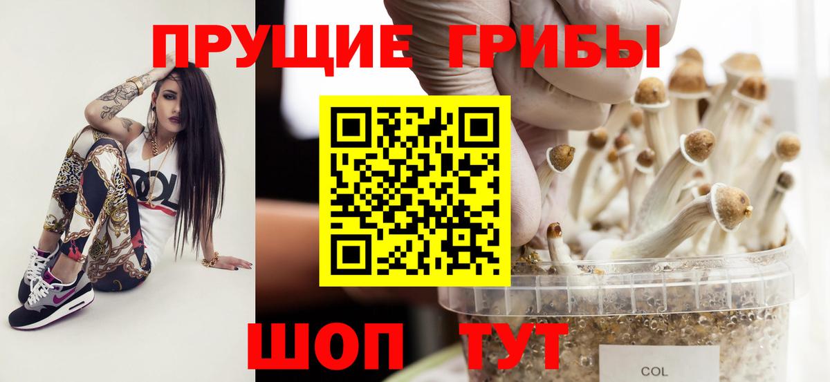 как найти закладки  Псилоцибиновые грибы Cubensis  Вход с VPN  Кимры 